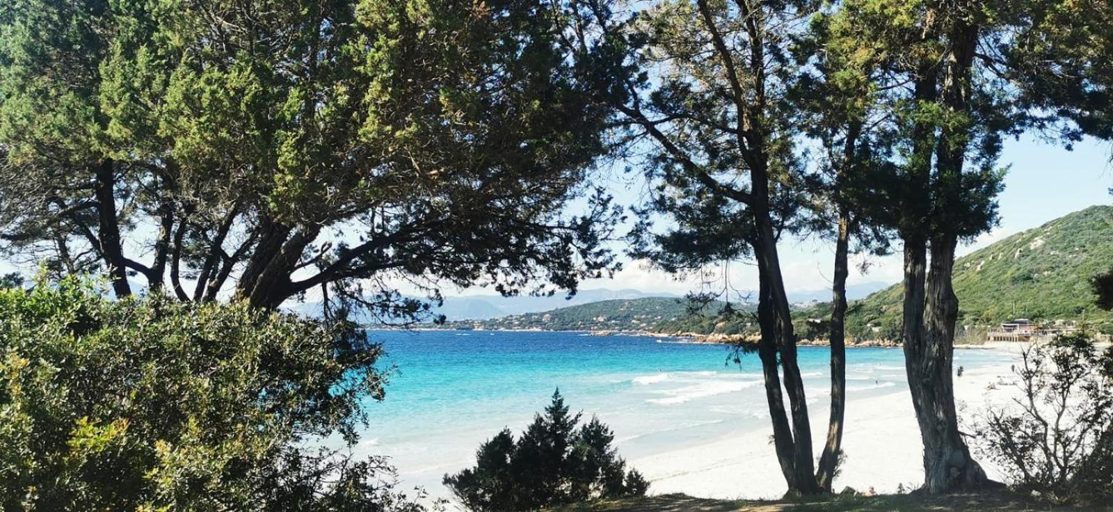 Studio avec terasse vue mer Porticcio  Esterno foto